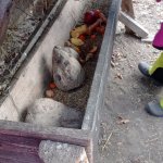 phoca_thumb_m_ke krmelci 14 Fotogalerie